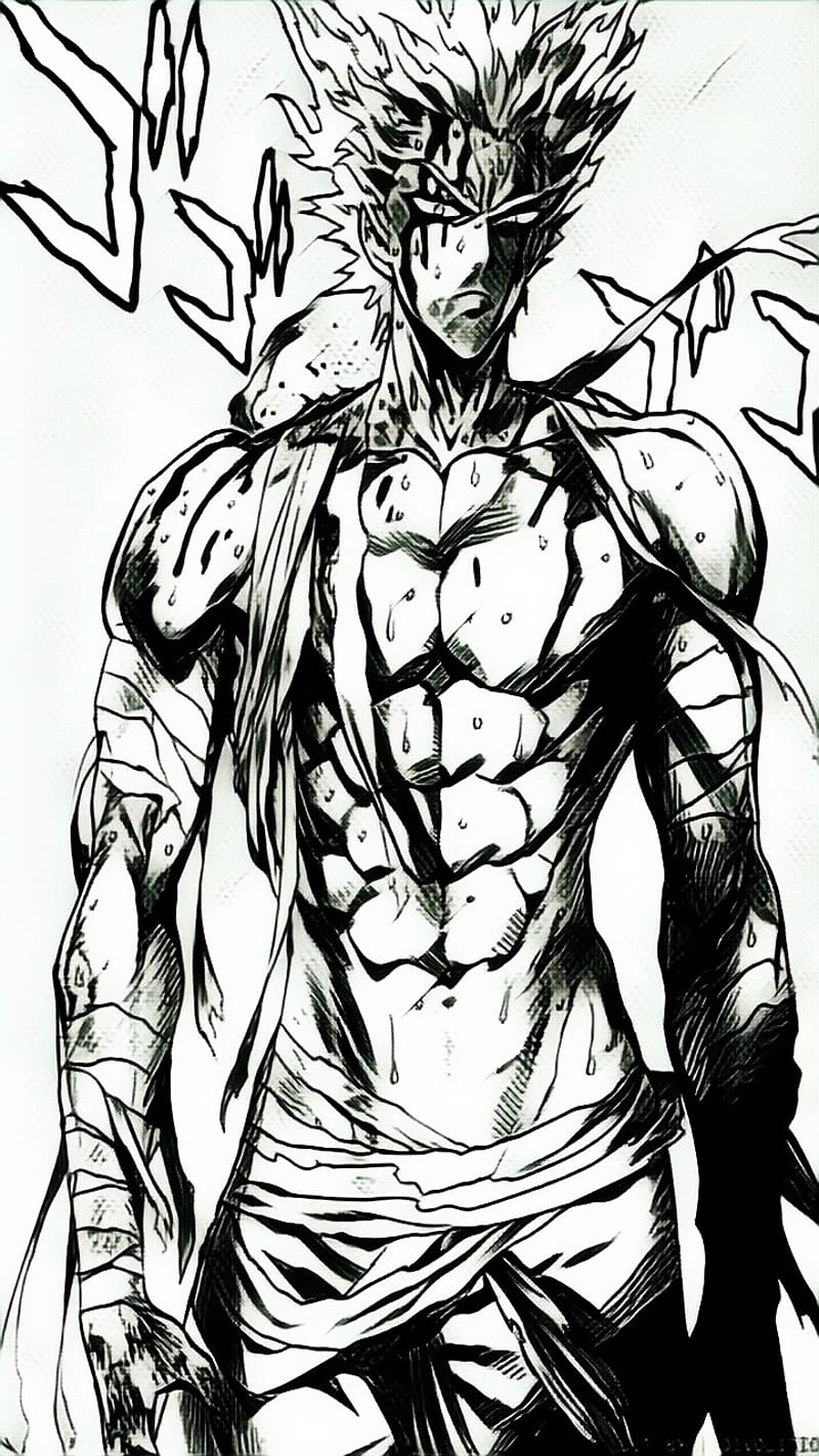 Garou FX, anime, manga, monster, one punch man, HD phone wallpaper