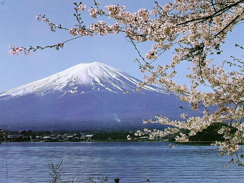 Mount Fuji, japan, mount, blossoms, bonito, volcano, dormant, fuji, HD wallpaper