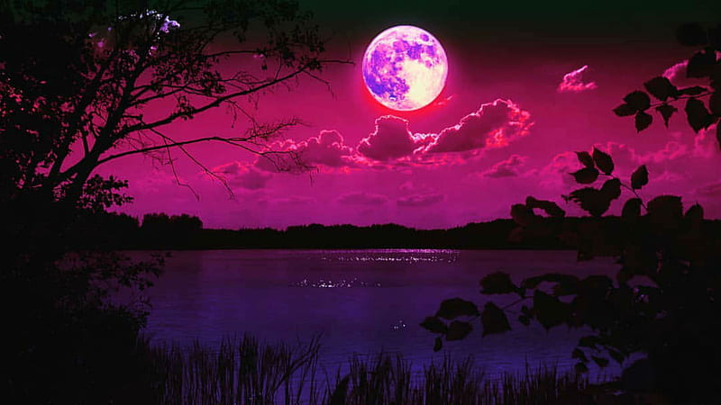 Moonlight, pink, moon, lake, nature, trees, purple, bonito, art, scenic, HD wallpaper