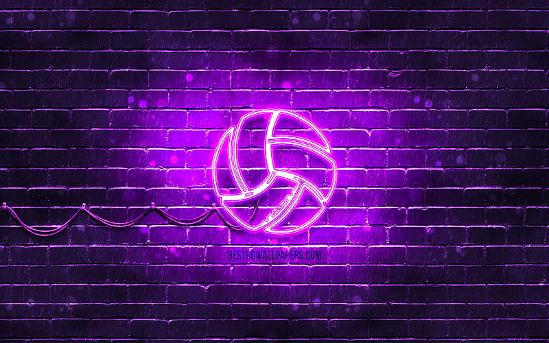 Volleyball neon icon violet background, neon symbols, Volleyball, neon icons, Volleyball sign, sports signs, Volleyball icon, sports icons, HD wallpaper