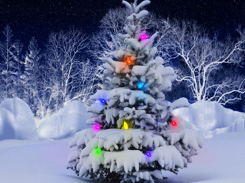 Christmas tree, christmas night, color, merry christmas, snow, winter ...