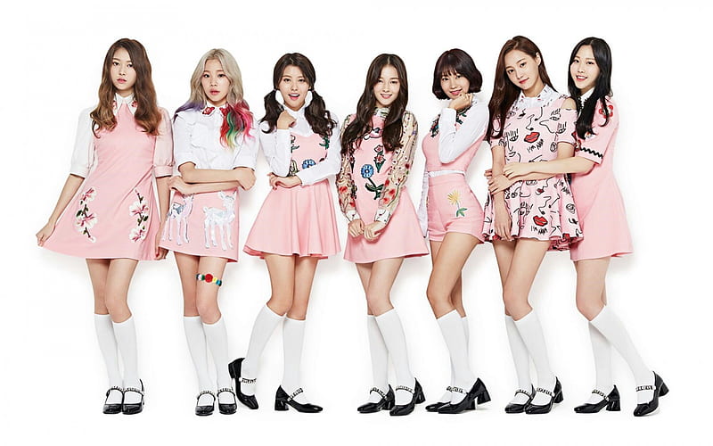 Momoland, kpop, south korean group, south korean singer, Hyebin, Yeonwoo, Jane, Taeha, Nayun, Daisy, JooE, Ahin, Nancy, HD wallpaper