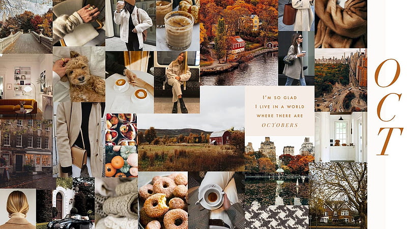 Girls Dog Puppy Autumn Coffee Cup Trees Fall Collage, HD wallpaper