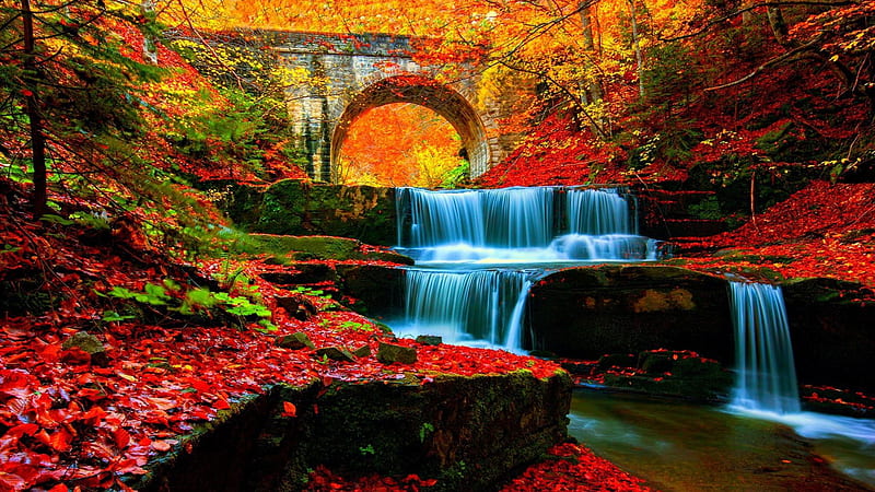 Waterfall Stream Between Rock With Red Leaves And Colorful Trees Covered Forest With Bridge Nature, HD wallpaper