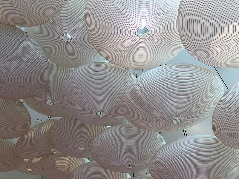 chinese lanterns, lanterns, white, HD wallpaper