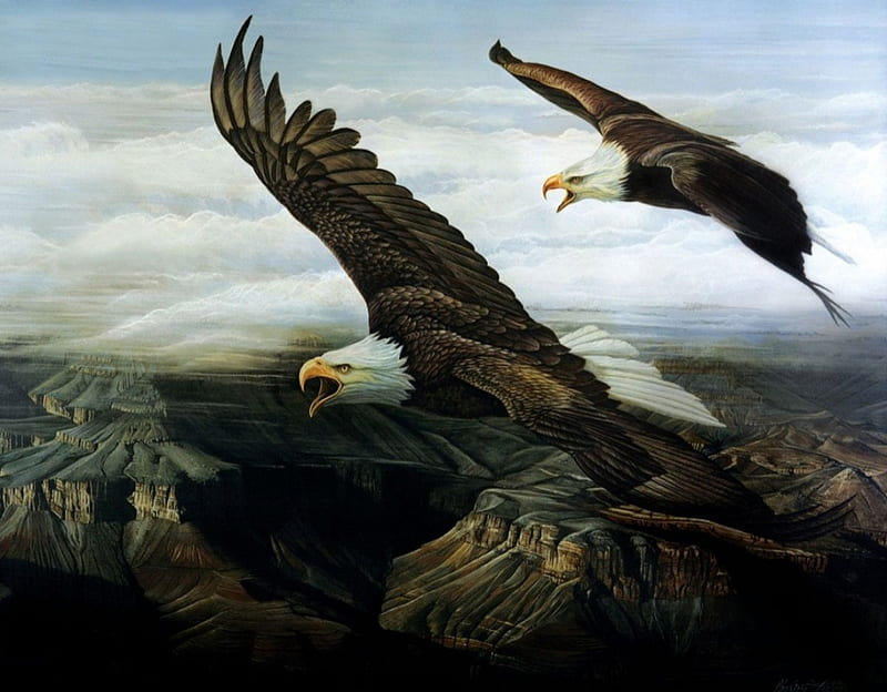 Eagle's Echo, wings, bald eagle, flying, digital, artwork, landscape, HD wallpaper