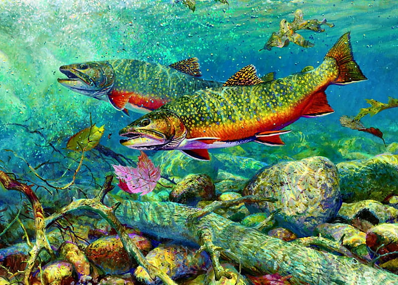Beautiful Trout F2, underwater, art, fish, artwork, animal, painting, wide screen, wildlife, trout, HD wallpaper