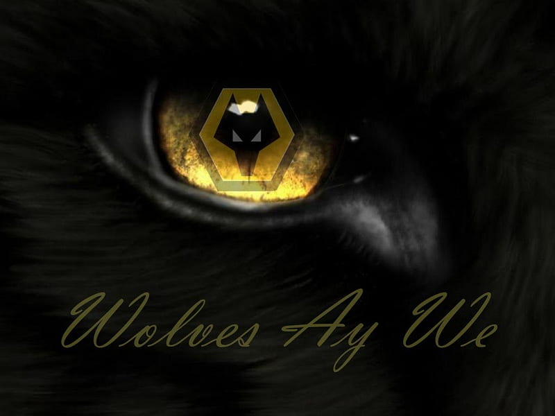 Wolves Ay We, soccer, wolverhampton wanderers, england, fc, wolverhampton, screensaver football, wwfc, wolf, wolves, wanderers, HD wallpaper