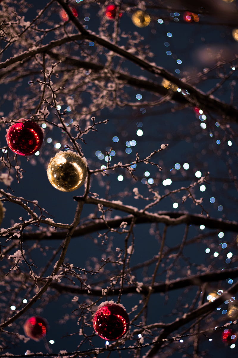 selective focus graphy of baubles, HD phone wallpaper