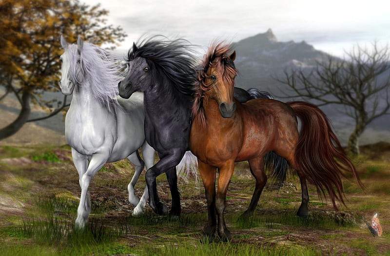 BEAUTY IN THE WILD, BLACK, WHITE, WILD, HORSES, BROWN, HD wallpaper