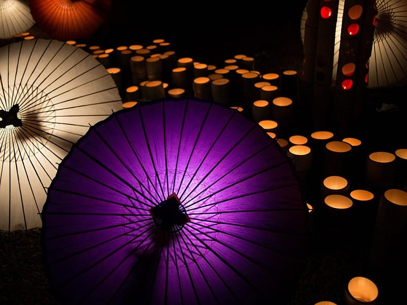 japanese Umbrellas, umbrellas, japan, sun, purple, parasol, candles, HD wallpaper