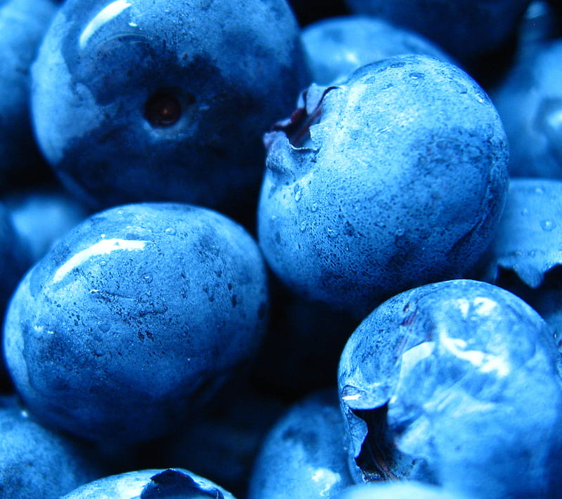 Blueberries, close-up, food, fresh, fruit, HD wallpaper | Peakpx