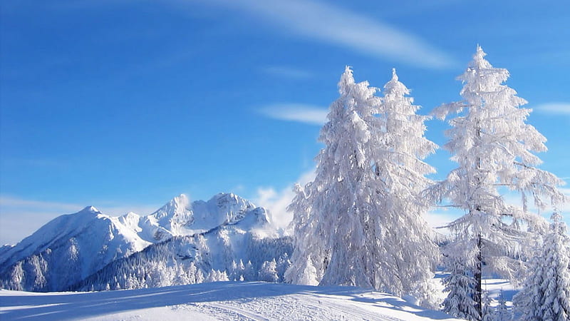Winter in Romania, mountain, snow, winter, romania, HD wallpaper