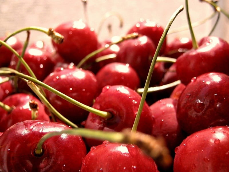 Cherries, fresh, fruits, picked, res, sweet, HD wallpaper