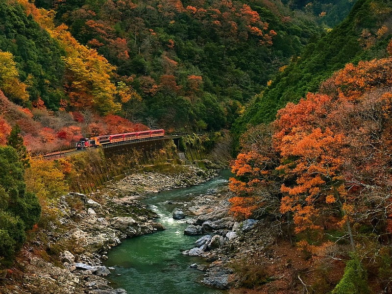 Autumn Train Trip, autumn, train, travel, nature, river, trees, HD wallpaper