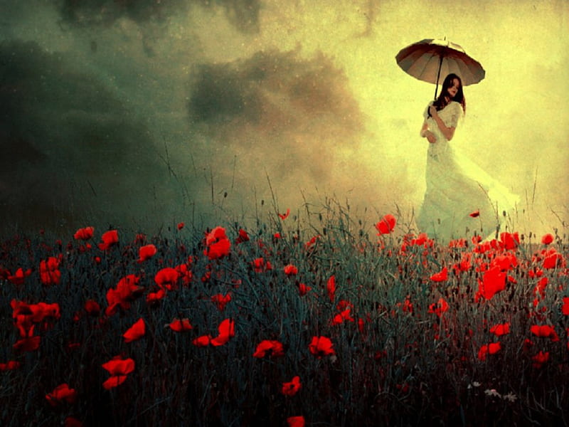 Whisper In The Wind, white lace dress, wind, poppie field, umbrella, clouds, sky, women, HD wallpaper