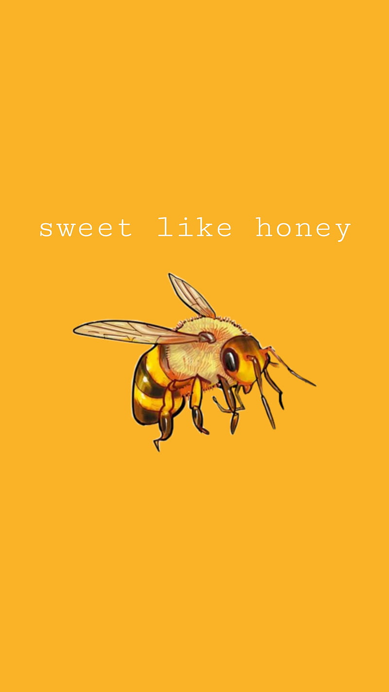 Miel de abeja, estético, abeja, miel, naranja, dulce, vsco, Fondo de  pantalla de teléfono HD | Peakpx