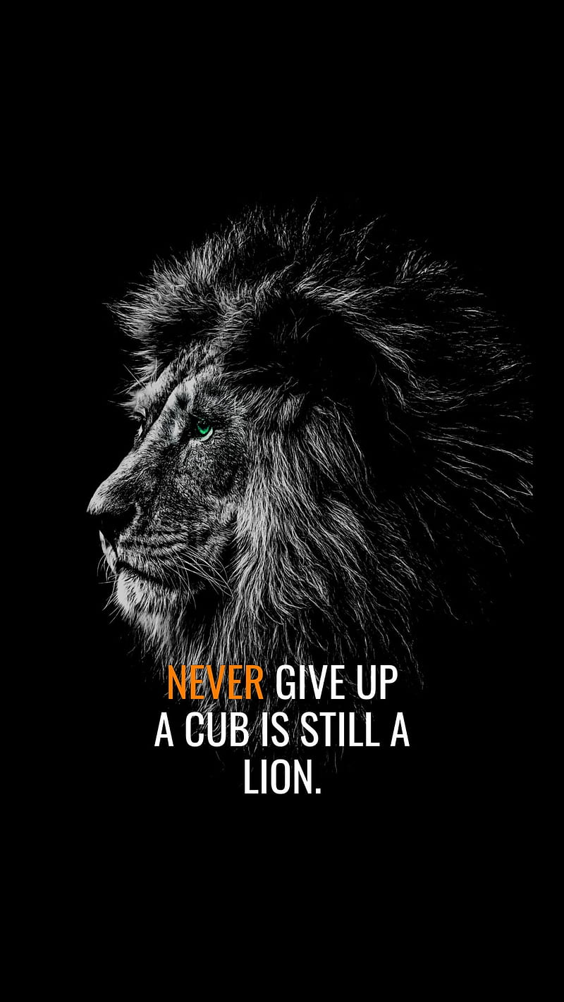 Never give uo, animal, black and white, black and white, lion, sayings, HD  phone wallpaper | Peakpx