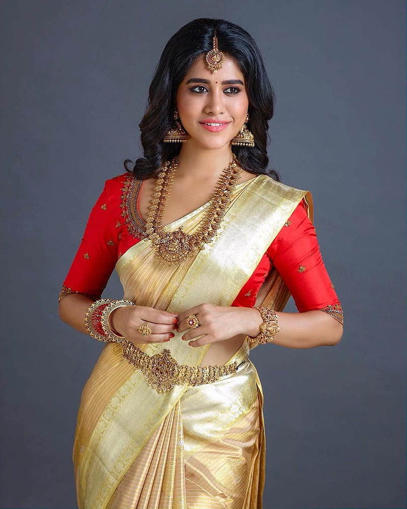 Nabha natesh, sari, makeover, HD phone wallpaper