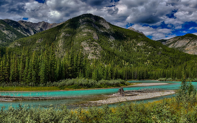 Bow River, Mountains, forest, mountain river, Banff National Park, Canada, HD wallpaper