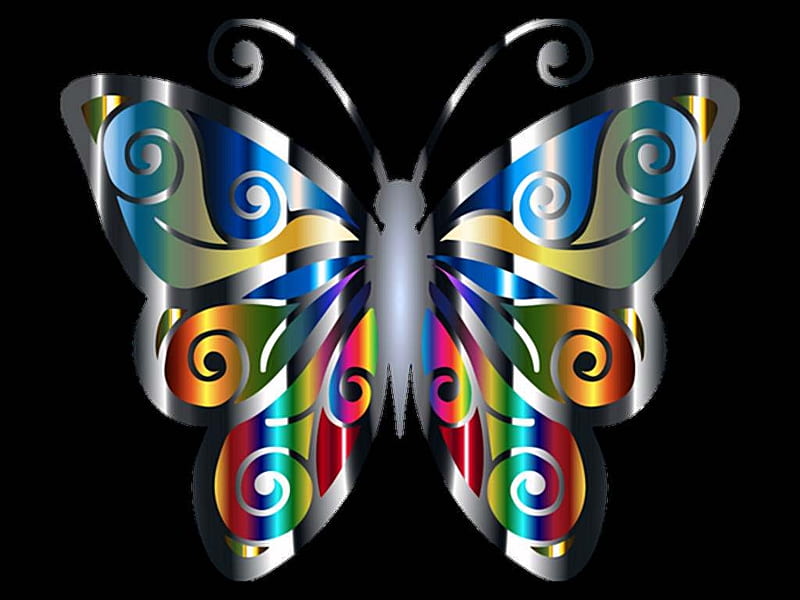 Butterfly 2, Awesome, Black Background, Colorful, Abstract, Butterfly, HD  wallpaper | Peakpx