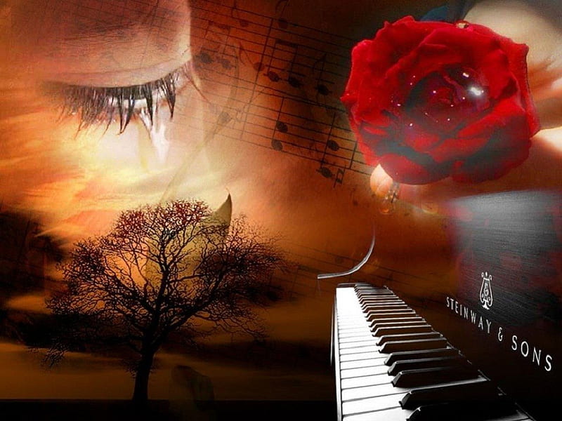 Good Night, woman, piano, red rose, tree, sad, tears, nature, dream, night, HD wallpaper