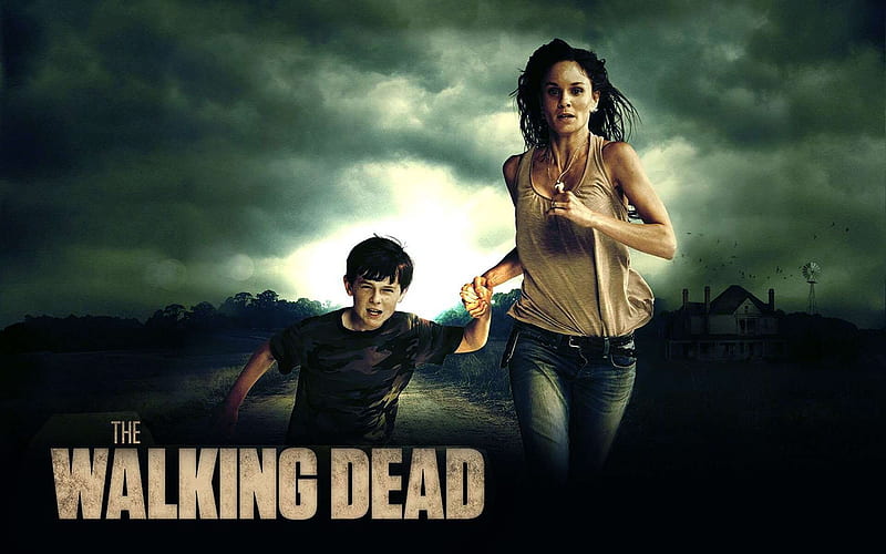 The Walking Dead-American TV series 10, HD wallpaper