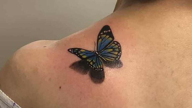 Yellow Blue Black Butterfly Tattoo On Shoulder For Women Butterfly Tattoo, HD wallpaper