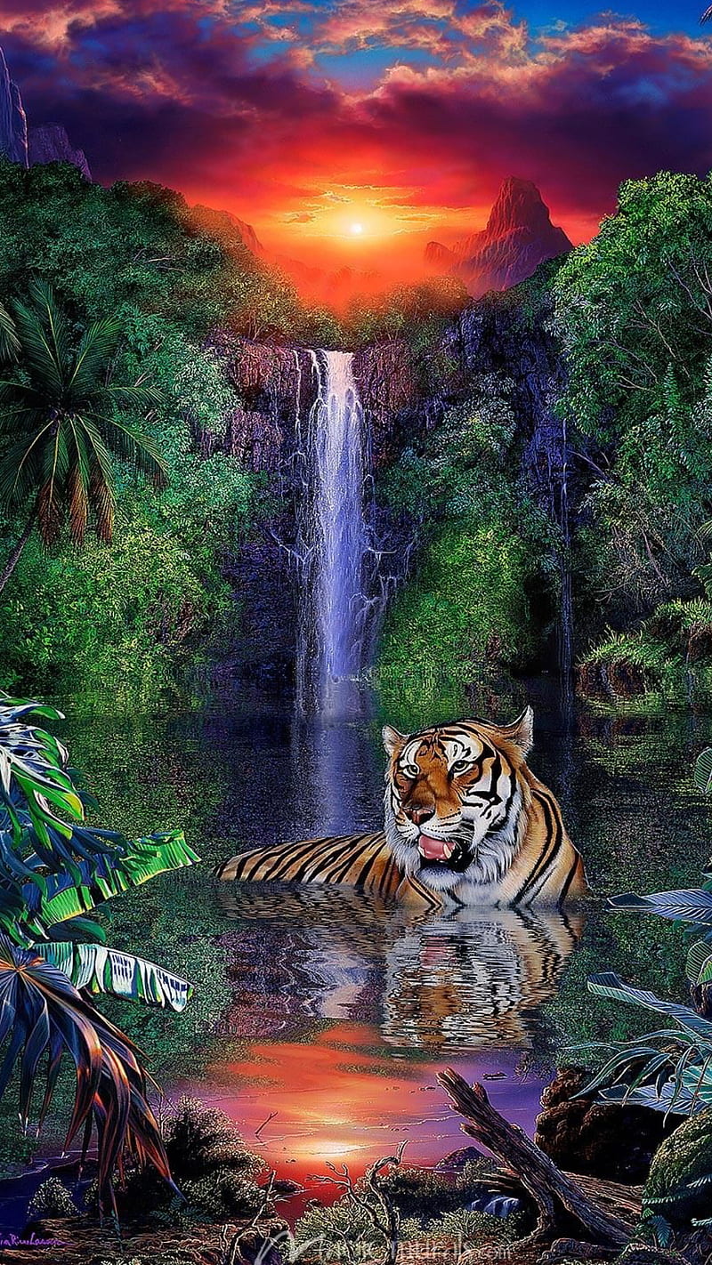 Tiger, animal, clouds, forest lake, nature, trees, waterfall, wild, HD  phone wallpaper | Peakpx