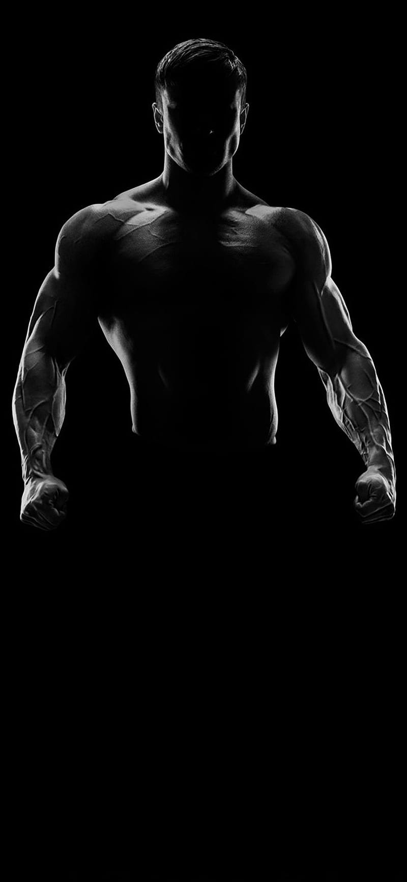 Body Builder, 6 packs, bicep, chest, exercise, muscles, muscular, forma, HD phone wallpaper