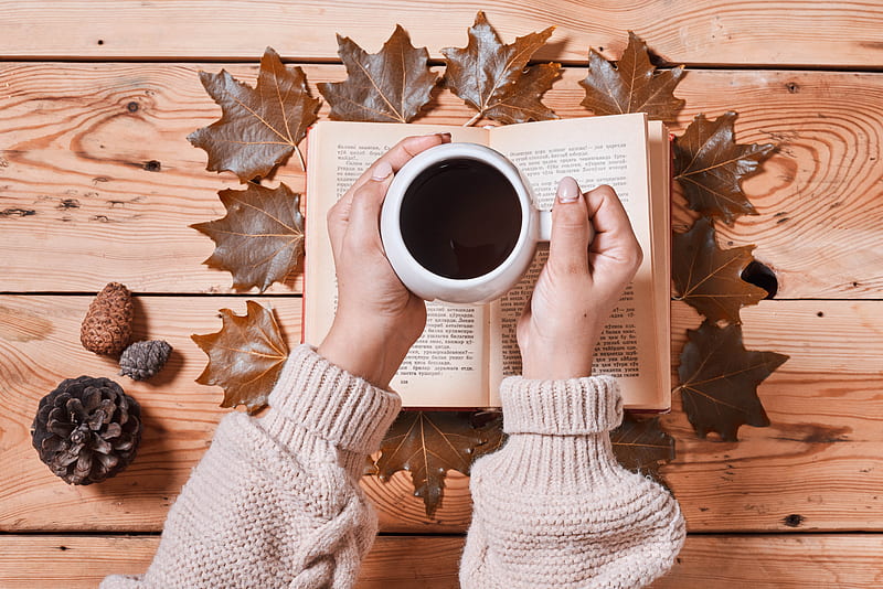 coffee, drink, cup, hands, book, autumn, cozy, HD wallpaper