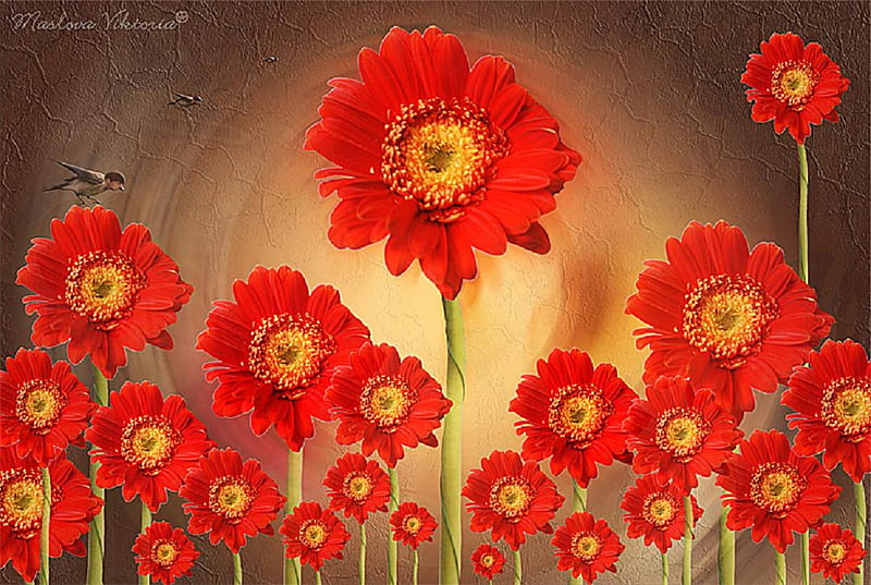Charming flowers., red, bird, flower, gerbera, charm, nature, petal, HD wallpaper