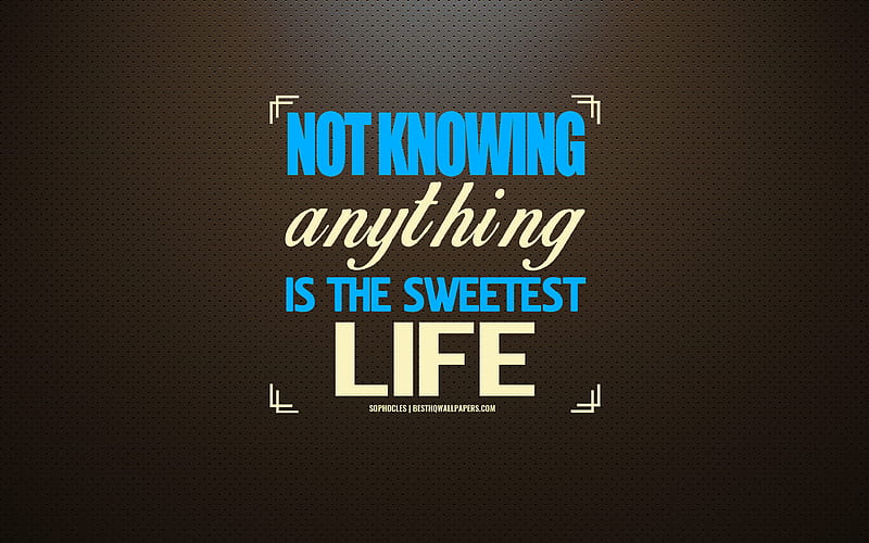 Not knowing anything is the sweetest life, Sophocles, Greek philosophers quotes, creative art, inspiration, motivation, brown stylish background, art, Sophocles quotes, HD wallpaper