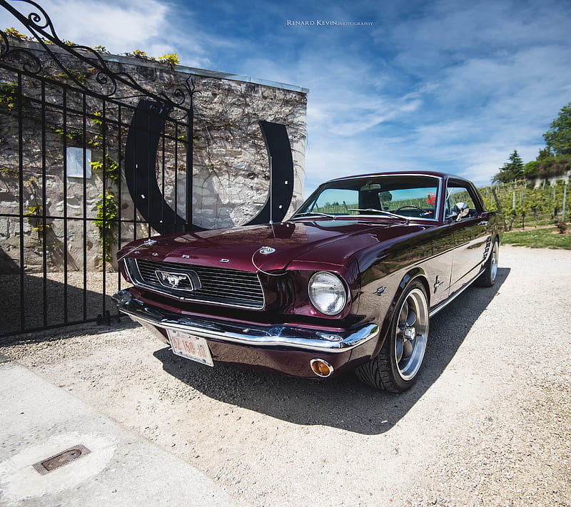 Mustang 66, 66, 1966, carros, comp cam, custom, drift, ford, kelly, love, mustang, race, racing, vintage, HD wallpaper