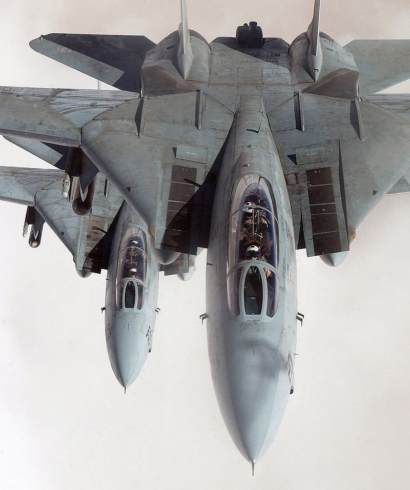 portrait display, Grumman F-14 Tomcat, jet fighter, Multirole fighter, airplane, HD phone wallpaper