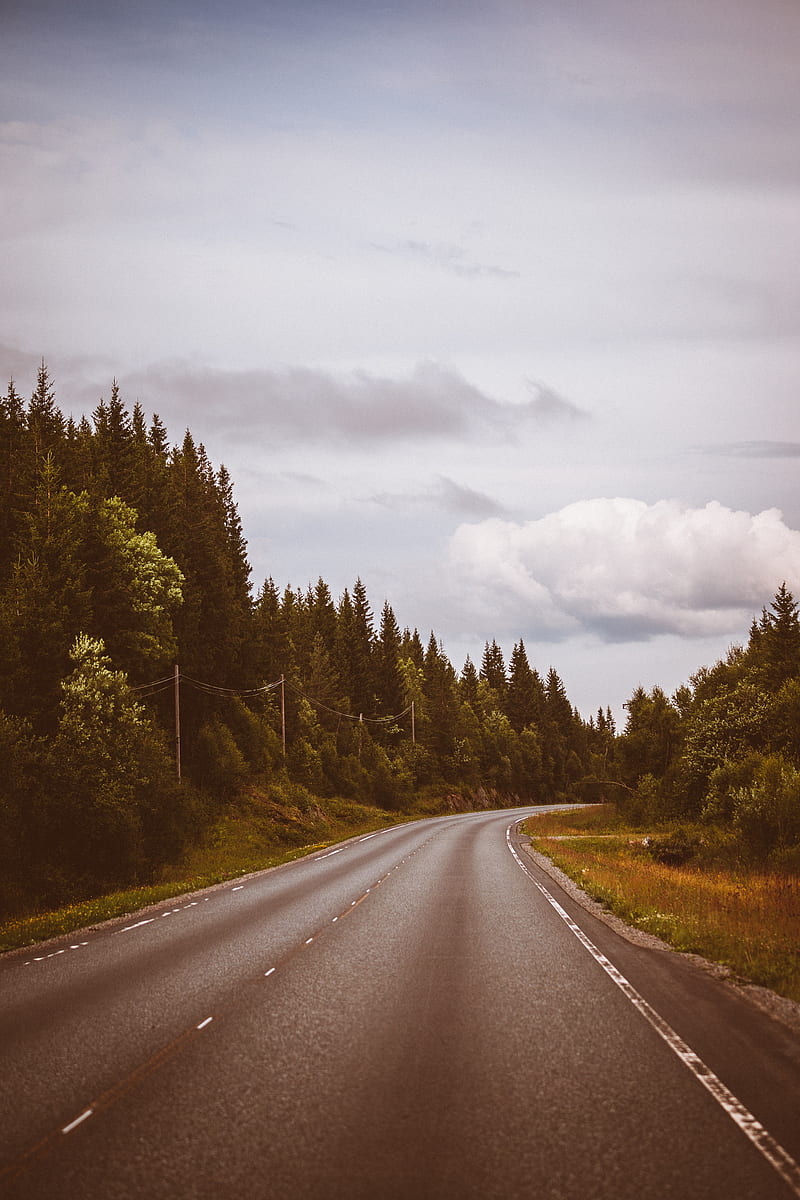 road, marking, distance, trees, forest, sky, HD phone wallpaper
