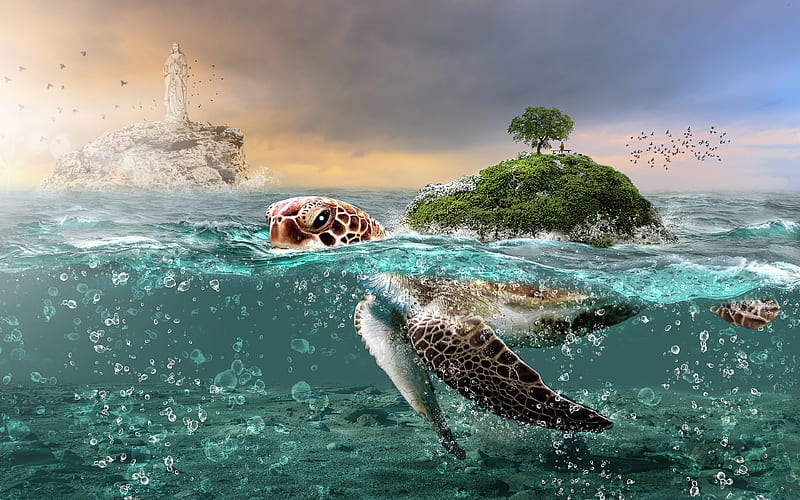 tortoise, sea, island, ocean, underwater world, creative, 3d art, HD wallpaper
