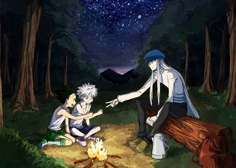 Rock, paper, scissors, Forest, Anime, Kite, Killua Zoldyck, Manga, Gon css, Pro Hunter, Assassin, Camp Fire, Rock Paper Scissors, Hunter X Hunter, Chimera Ant Arc, HD wallpaper