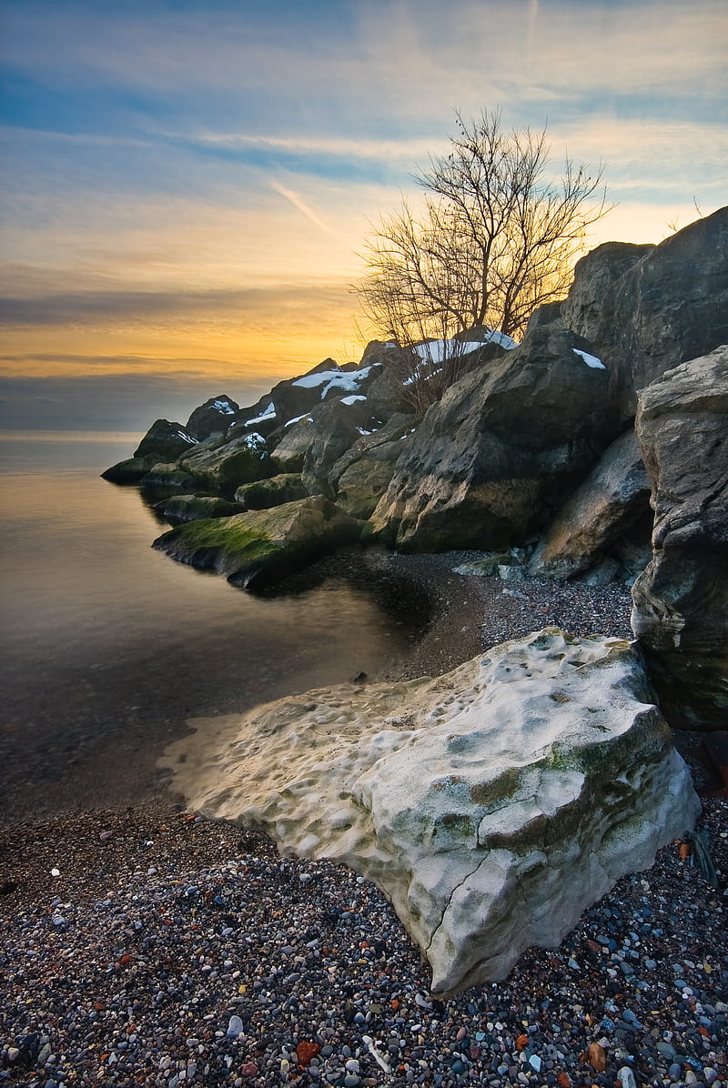 Rocks Tree Sea Shore Sunset Landscape Hd Phone Wallpaper Peakpx