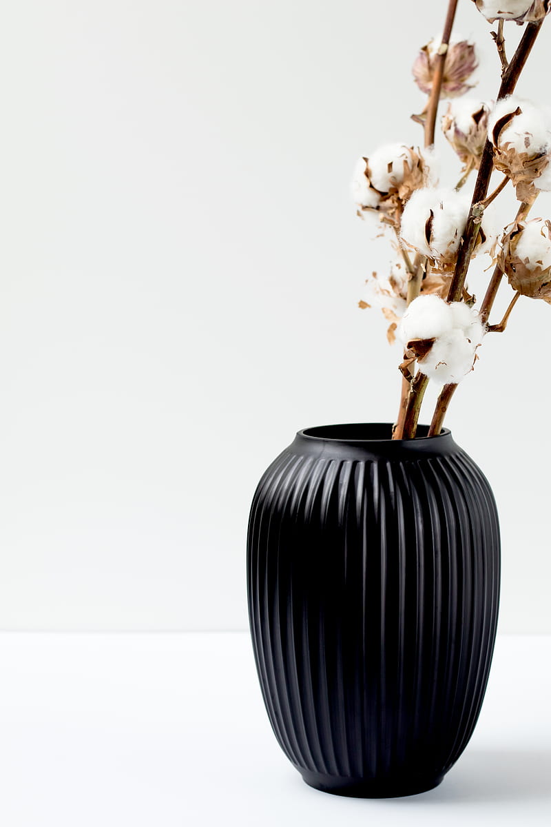 cotton flower in black vase, HD phone wallpaper