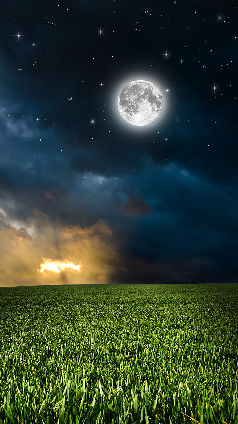 moonlight, clouds, field, grass, light, moon, nature, night, stars, HD phone wallpaper
