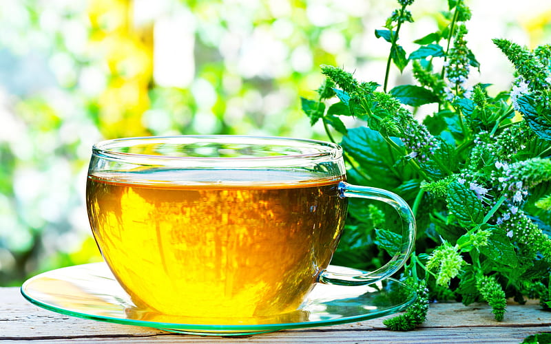 tea with mint, tea cup, glass cup, mint leaves, green tea, mint, HD wallpaper