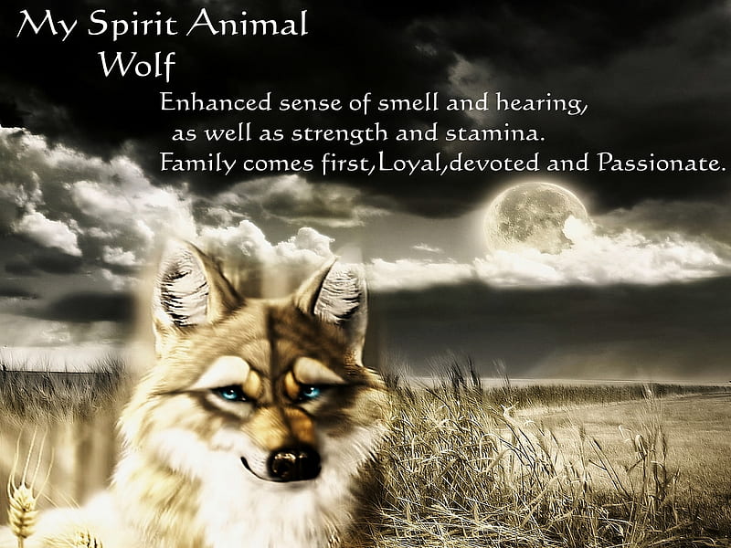 SPIRIT ANIMAL for TONY(Nannouk), spirit animal, wolf, tony, gift, friends,  HD wallpaper | Peakpx