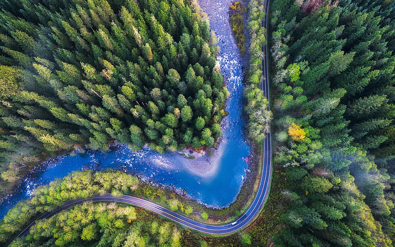 forest, top view, river, highway, USA, HD wallpaper