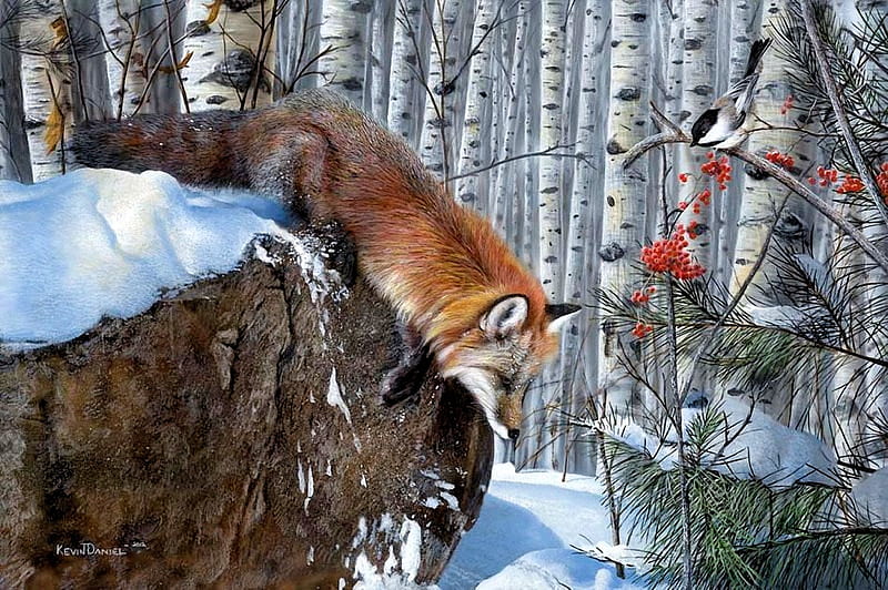 Blindsided, bird, fox, snow, painting, trees, artwork, winter, aspens, HD wallpaper