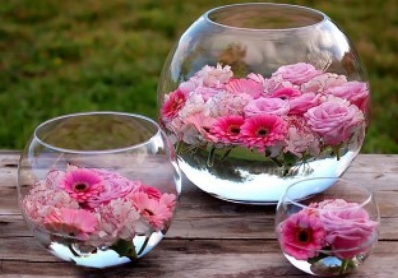 •✿••✿••✿•, grass, roses, pink roses, wood table, vases, gerbera, flowers, flowers deco, jars, HD wallpaper