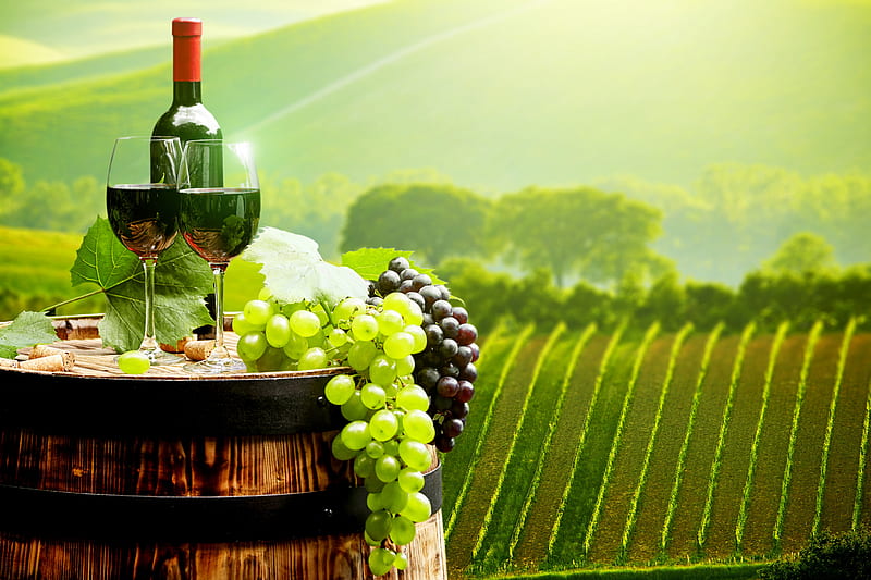 Tuscan Vinyard, wine, bottle, glasses, barrel, landscape, italy, HD wallpaper
