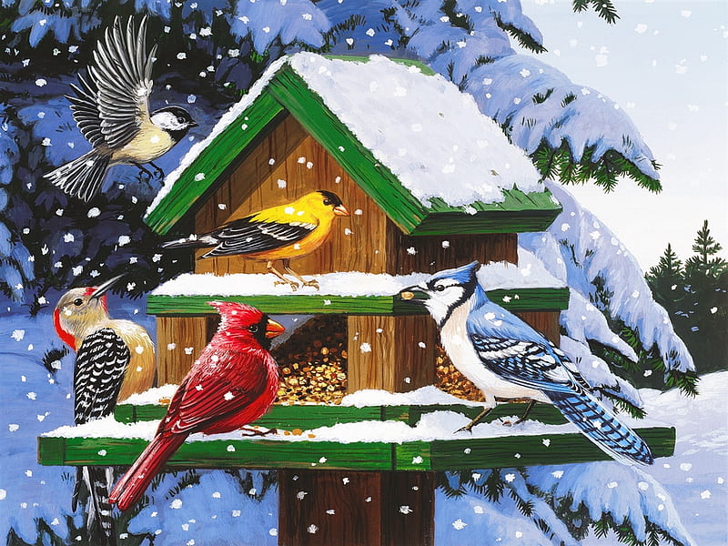 Winter feeder, art, feeder, birds, winter, cardinals, gathering, snow, snowflakes, snowfall, birdhouse, HD wallpaper