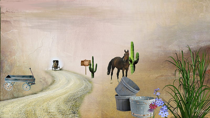Dusty Road, desert, grass, buggy, firefox persona, wash tubs, horse, cactus, fantasy, wagon, flowers, western, HD wallpaper