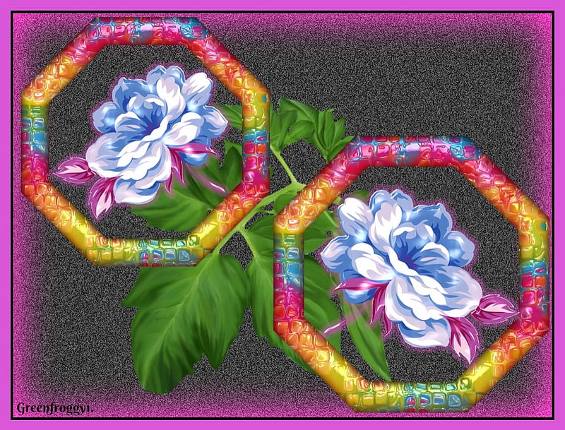 DOUBLE FRAMES, TWO, FRAMES, FLOWERS, ABSTRACT, HD wallpaper